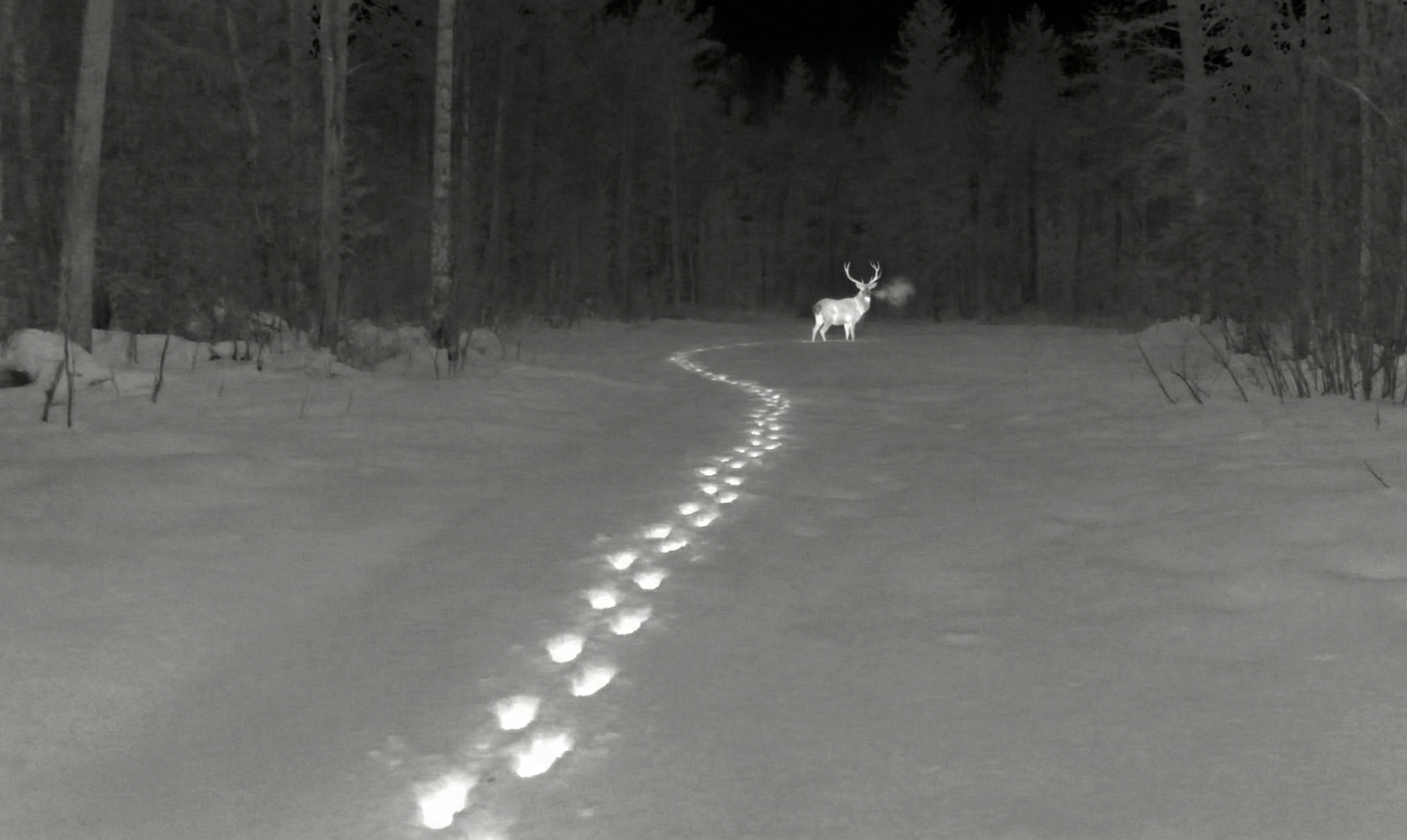 Fizyka mrozu: zima przyjacielem termowizji