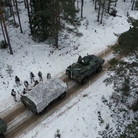 Hedgehog 2025: 10 Ukraińców zatrzymało brygadę