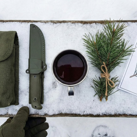 Zimowy napar - herbata z igliwia